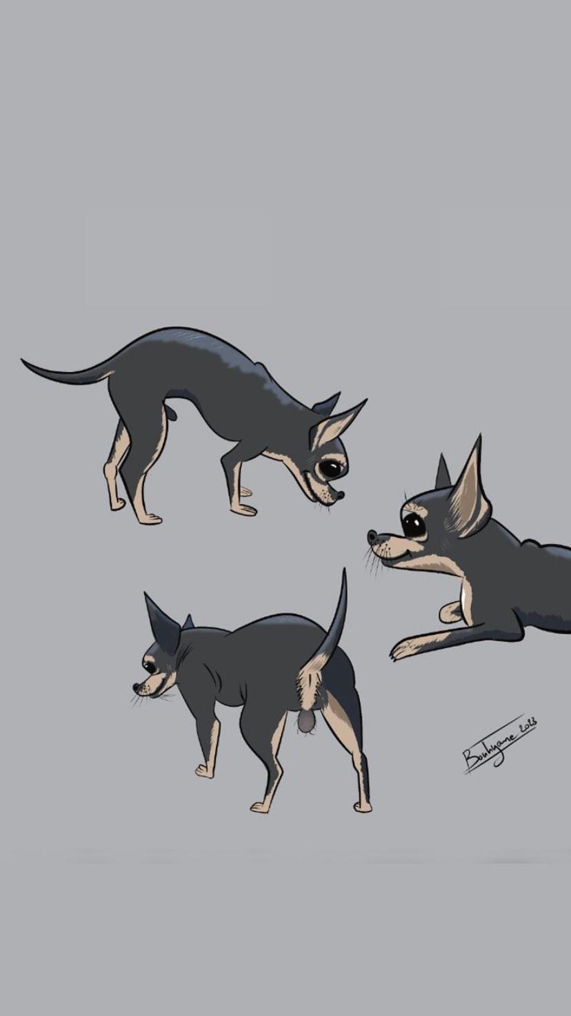 Character Design — Étude Canine